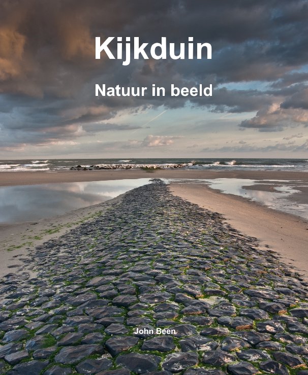 View Kijkduin by John Been