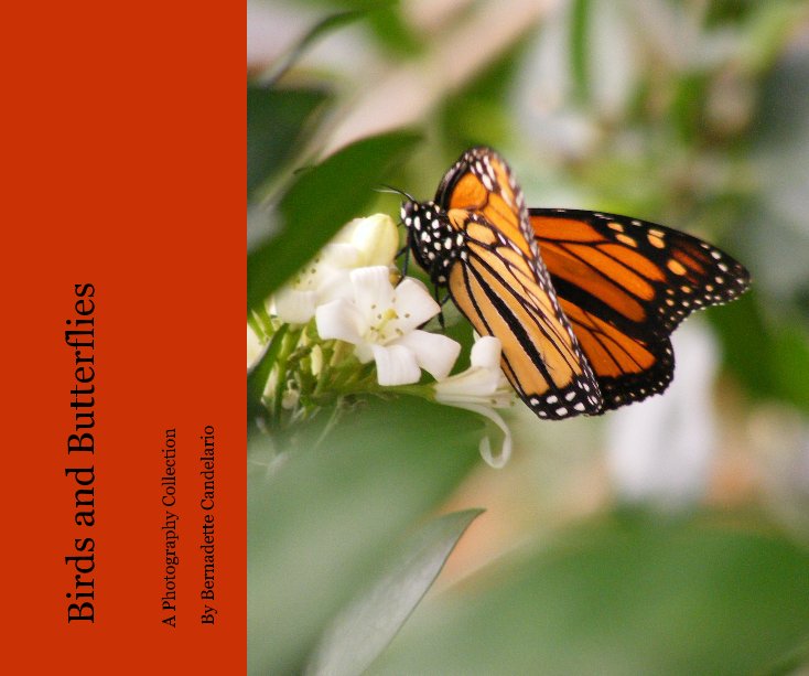 Ver Birds and Butterflies por Bernadette Candelario