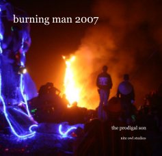 burning man 2007 book cover