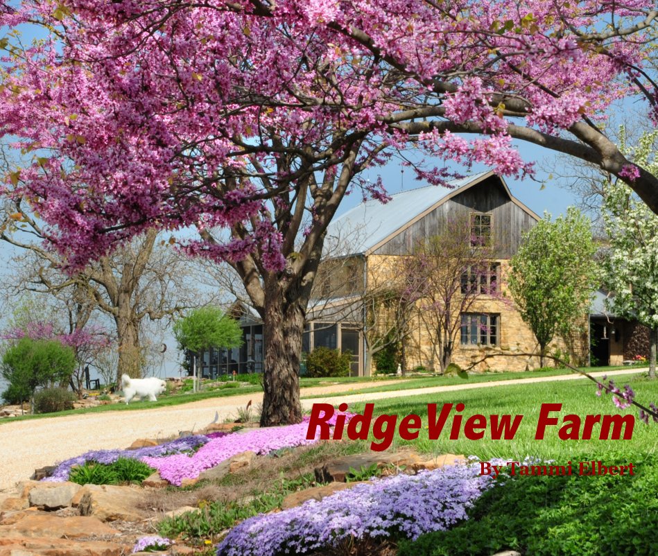 View RidgeView Farm by Tammi Elbert