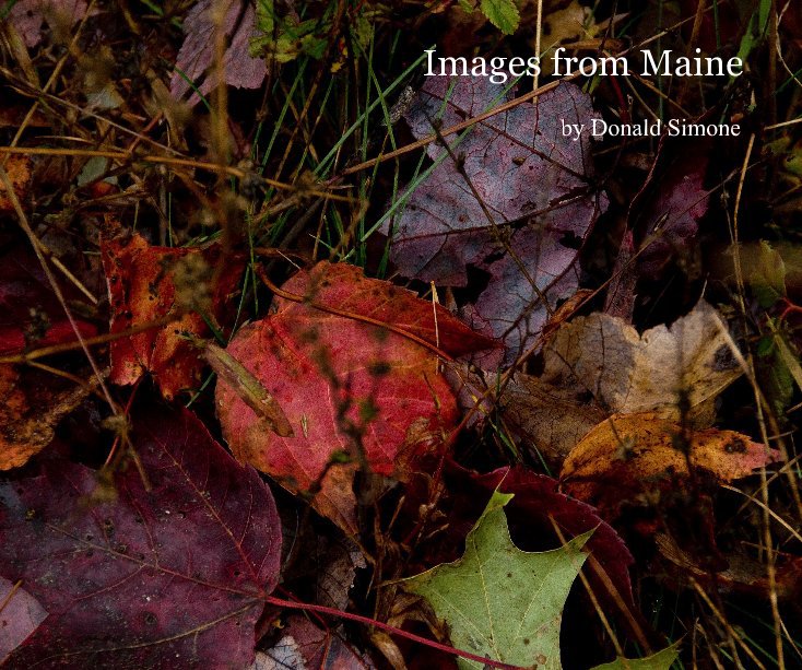 View Images from Maine by Donald Simone