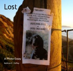 Lost book cover