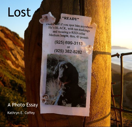 Ver Lost por Kathryn E. Coffey