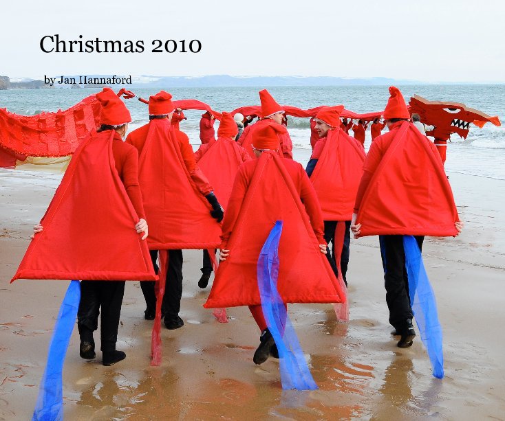 View Christmas 2010 by Jan Hannaford