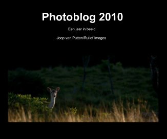 Photoblog 2010 book cover