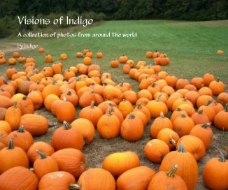 Visions of Indigo book cover