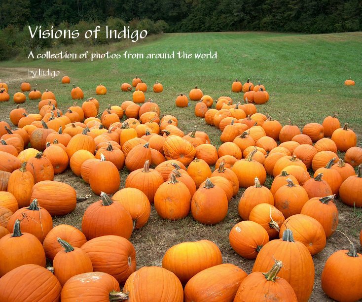 View Visions of Indigo by Indigo