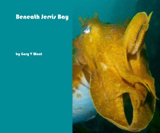 Beneath Jervis Bay book cover