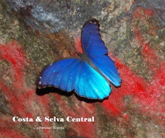 Costa & Selva Central book cover
