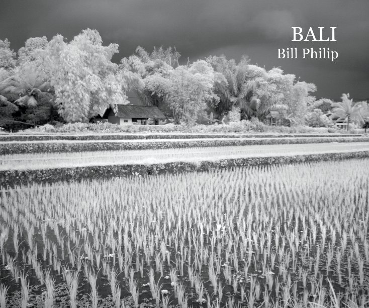 View BALI Bill Philip by Bill Philip