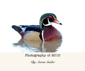 Photography of 2010 book cover