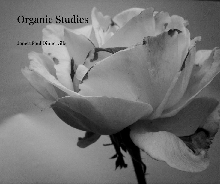 View Organic Studies by James Paul Dinnerville