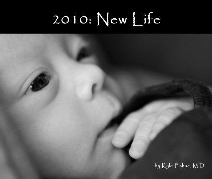 2010: New Life book cover