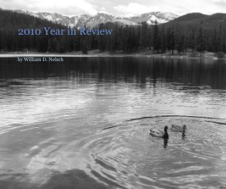 2010 Year in Review book cover