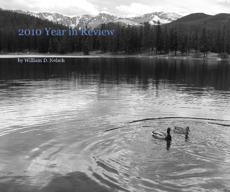 View 2010 Year in Review by William D. Nelsch