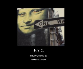 N.Y.C. book cover