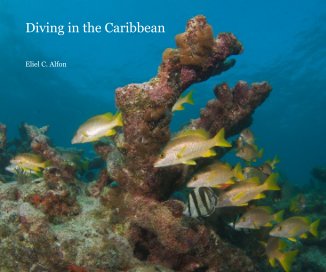 Diving in the Caribbean book cover
