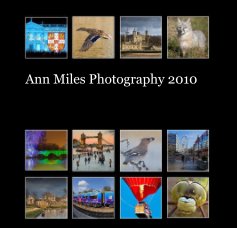 Ann Miles Photography 2010 book cover