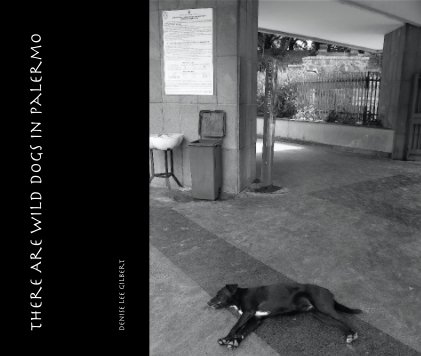 There Are Wild Dogs In Palermo book cover
