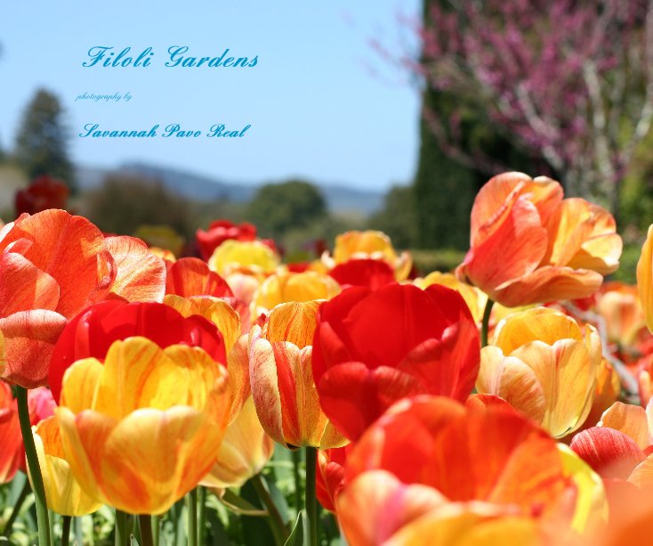 View Filoli Gardens by Savannah Pavo Real