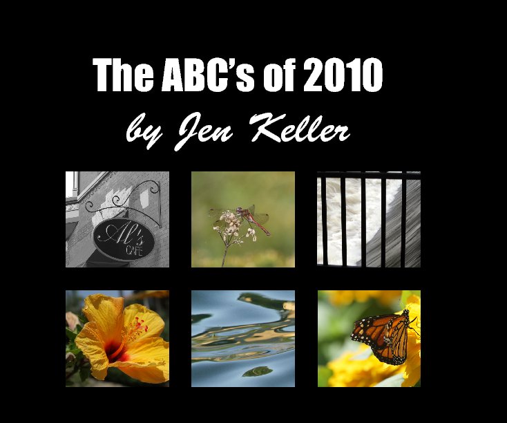 Ver The Abcs of 2010 por Jen Keller