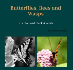 Butterflies, Bees and Wasps book cover