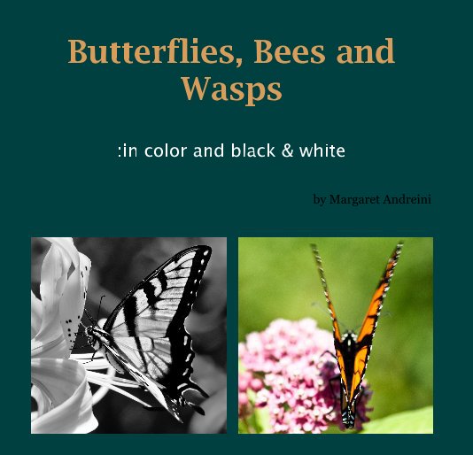 View Butterflies, Bees and Wasps by Margaret Andreini