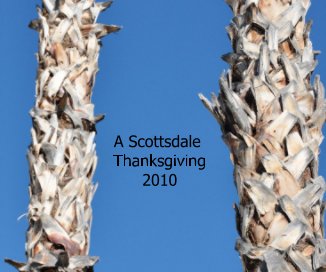 A Scottsdale Thanksgiving 2010 book cover