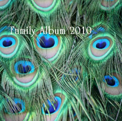Family Album 2010 book cover