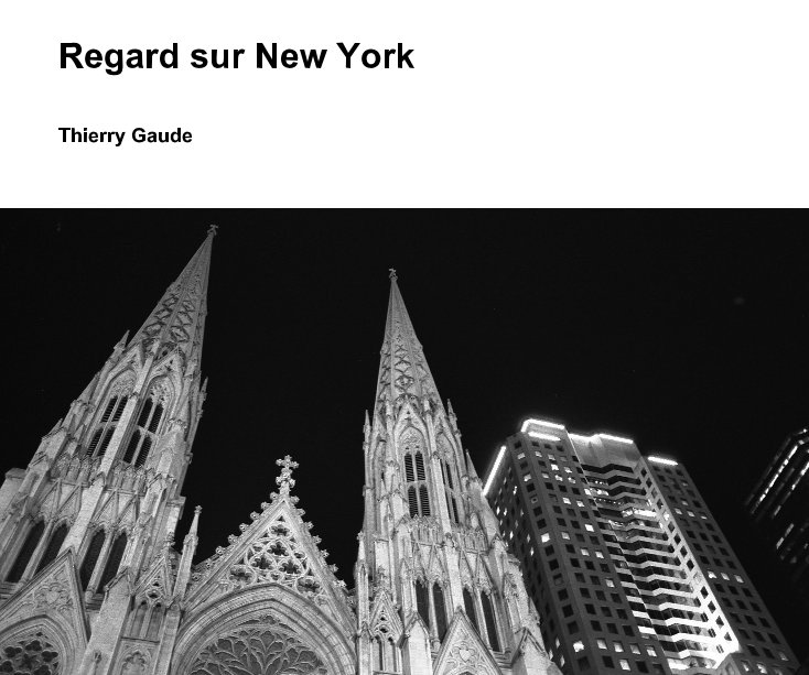 View Regard sur New York by Thierry Gaude