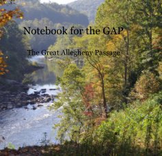 Notebook for the GAP book cover