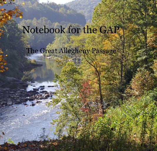 View Notebook for the GAP by a2zoom