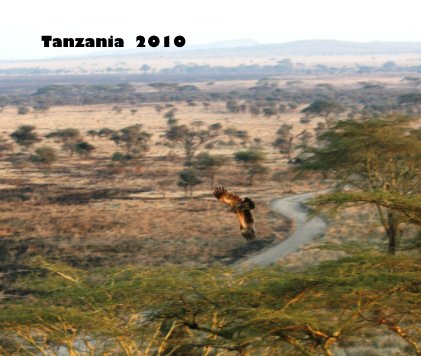 Tanzania 2010 book cover