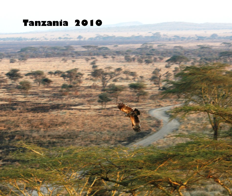 View Tanzania 2010 by russtice
