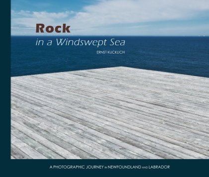 Rock in a Windswept Sea book cover