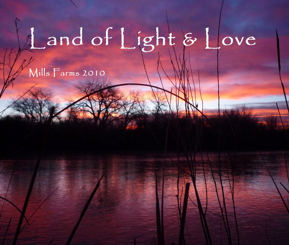 View Land of Light & Love by Brett Mills