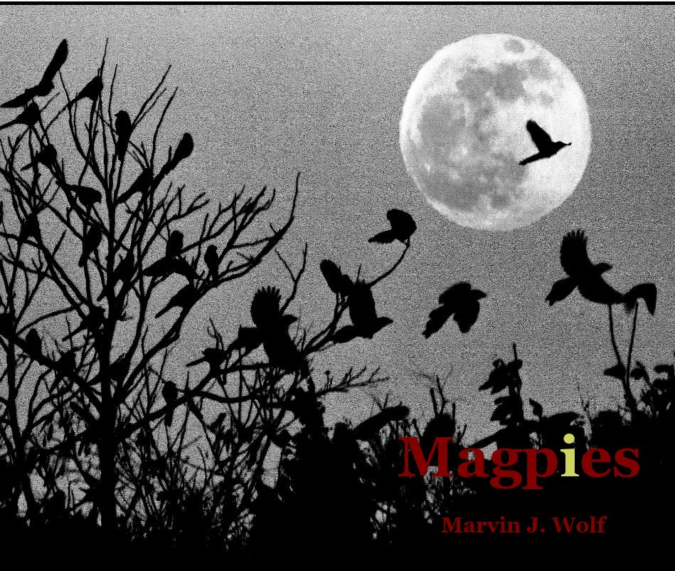 View Magpies by Marvin J. Wolf