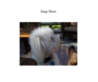 Snap Shots book cover
