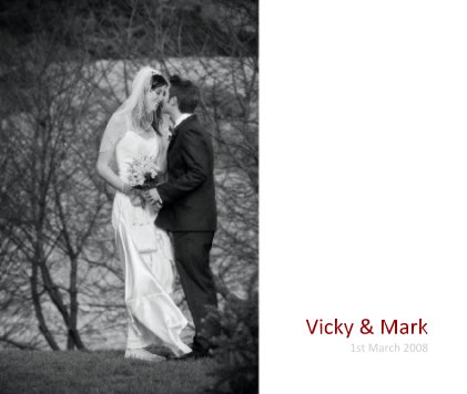 Vicky & Mark book cover