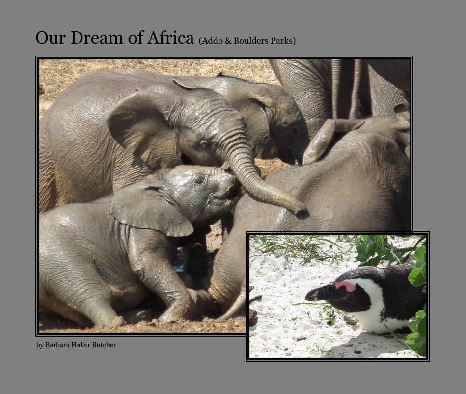 View Our Dream of Africa (Addo & Boulders Parks) by Barbara Haller Butcher