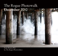The Rogue Photowalk
December 2010 book cover