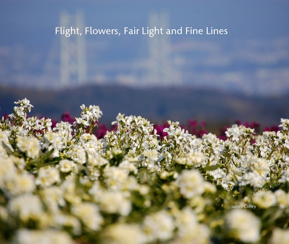 View Flight, Flowers, Fair Light and Fine Lines by James Coffey
