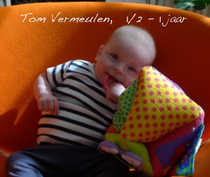 Tom Vermeulen, 1/2 - 1 jaar book cover