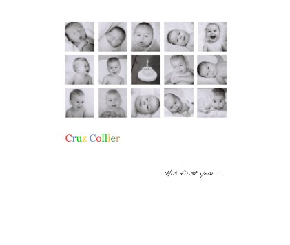 Cruz Collier His first year.... book cover