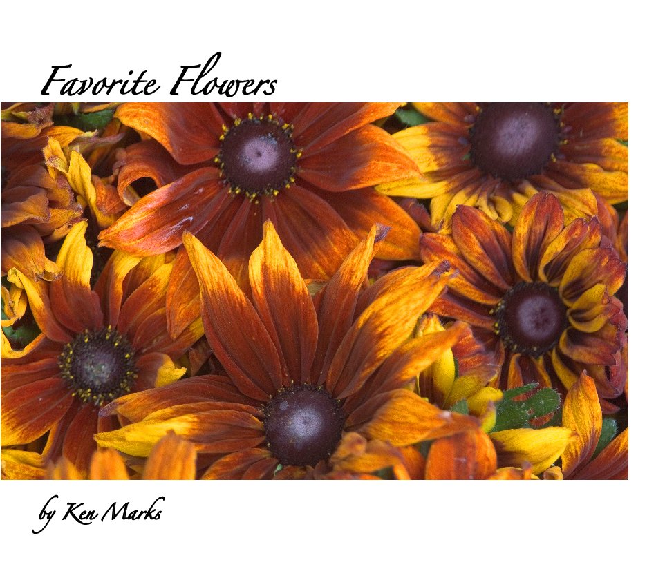 View Favorite Flowers by Ken Marks