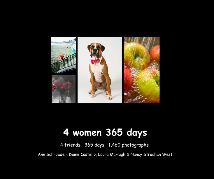Ver 4 women 365 days por Ann Schroeder, Diane Costello, Laura McHugh & Nancy Strachan West