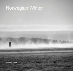 Norwegian Winter book cover