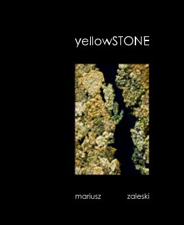 yellowSTONE mariusz zaleski book cover