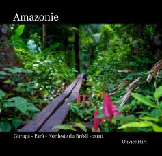 Amazonie book cover