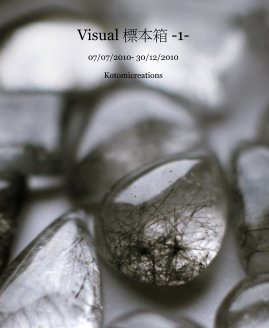 Visual 標本箱 -1- 07/07/2010- 30/12/2010 Kotomicreations book cover